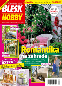 Blesk Hobby