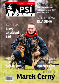 Psí sporty