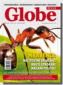 globe_6_2009.jpg